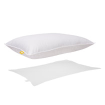 Northern nights shop feather pillows